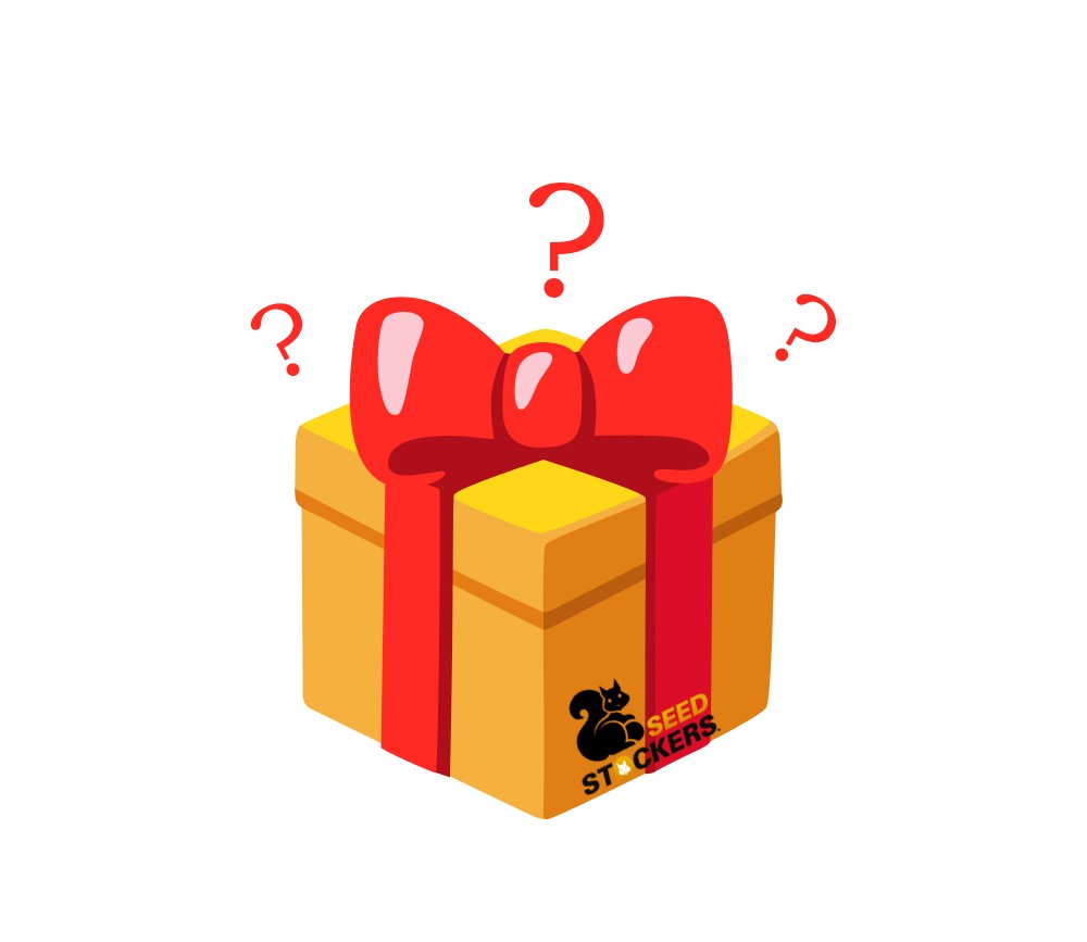 REGALO SOPRESA