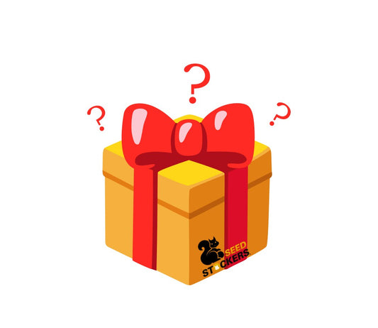REGALO SOPRESA